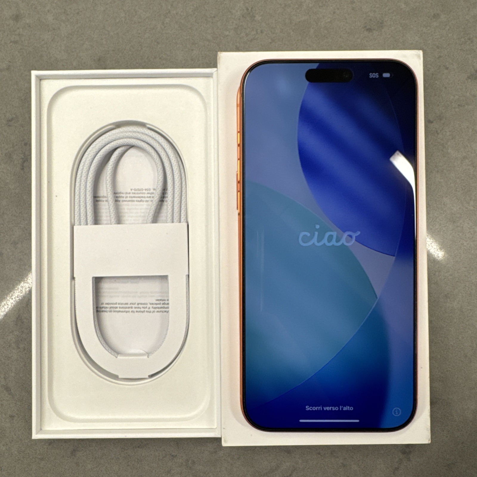 iPhone 17 Pro Max dettaglio